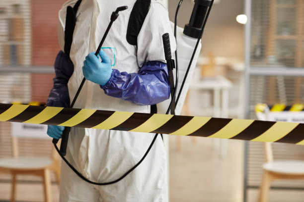 Professional Sewage Cleanup technician working in Mill Neck, NY